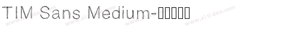TIM Sans Medium字体转换